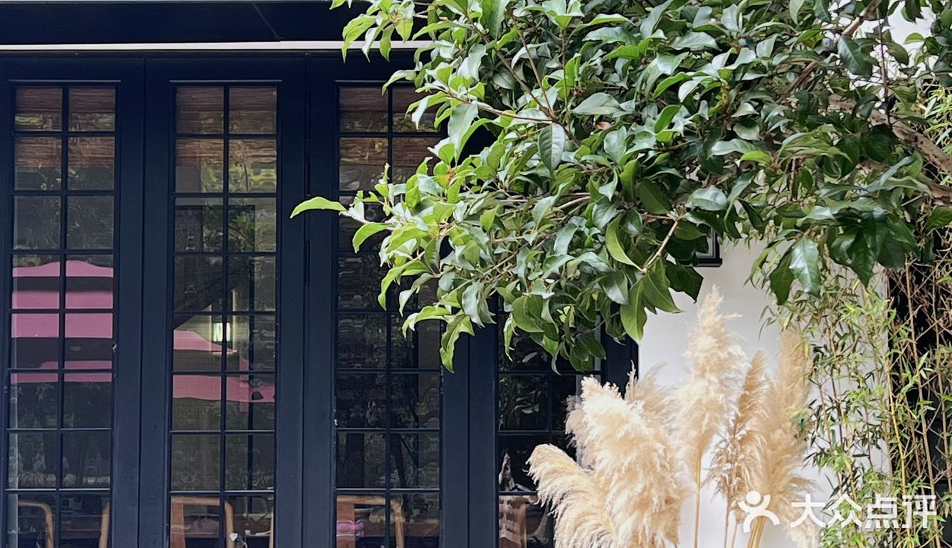 周末游玩好去处，竹林深处的竹园里