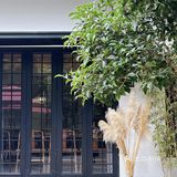 周末游玩好去处，竹林深处的竹园里