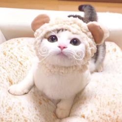 -盘子女人坊古装写真摄影(天津总店)