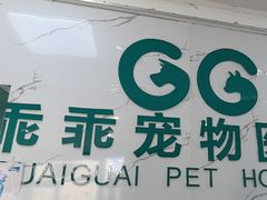 -乖乖宠物医院·猫科·骨科·24小时(云岗分院)