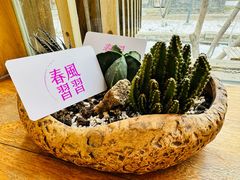 -春风习习