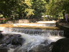 -陕西省红河谷森林公园