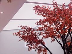 -艾薯夫妇Aysh(福田星河COCOPark店)