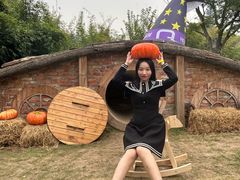 -HERRE·FARM 赫尔露营农场·团建聚会包场