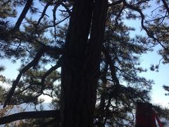 -九鼎铁刹山风景区