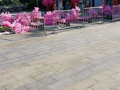 -万达广场(芜湖镜湖店)