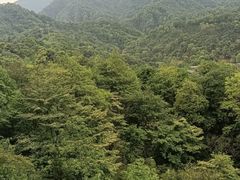 -青城山