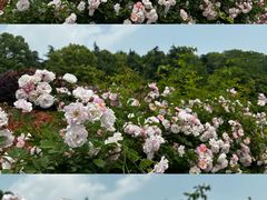 -UNI UNI(环亚凯瑟琳店)