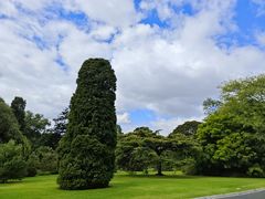 -墨尔本皇家植物园