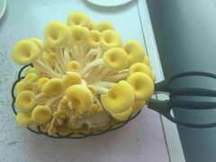 -仙蘑洞