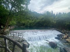 -石台牯牛降景区
