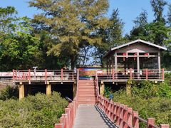 -北海金海湾红树林生态旅游区