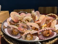 -前海沿·青岛菜(五四广场永旺店)