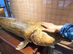 -胖姐渔村(中源大道店)