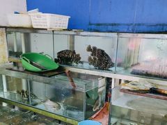 -湘里湘亲饭店(闸坡店)
