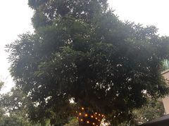 -五合院·整点烤肉