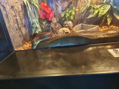 -成都浩海立方海洋公园