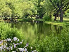 -上海共青森林公园