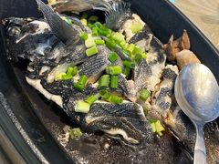 -浩运海鲜·16年专注青岛菜(石老人店)