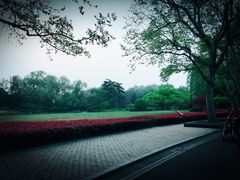 -御花园·粤菜·海鲜火锅(中山公园店)