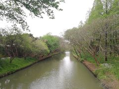 -同里国家湿地公园