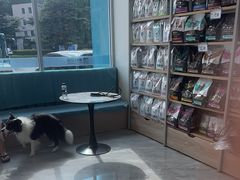 -德元·美联众合24小时动物医院(总院)