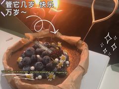 巧克力巴斯克芝士蛋糕-小苍兰风铃草蛋糕甜品(沈阳店)