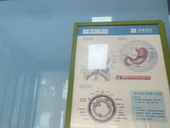 -半岛宠物医院24小时(白果林店)