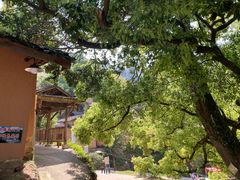 -杨家堂村