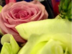 餐饮-上海浦东星河湾酒店