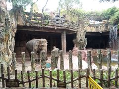 -长鹿旅游休博园