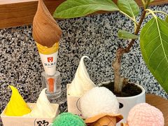 -野人先生Gelato(上海长宁龙之梦店)