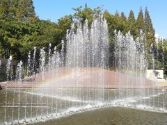 -上海市龙华烈士陵园