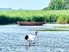 -黑龙江扎龙生态旅游区