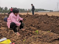 -解家河南菜(商鼎路店)