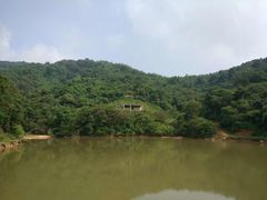 -广州市帽峰山景区