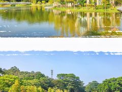 -东莞植物园