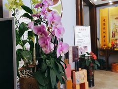 -臻余堂·艾灸·正骨