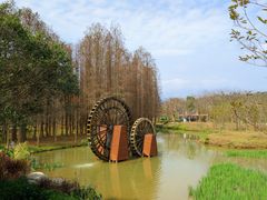 -森波拉奇妙世界