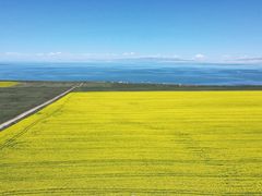 -青海湖国家重点风景名胜区