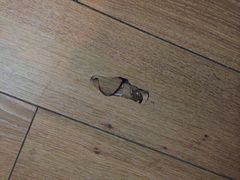 iphone_upload_pic-布丁严选酒店(杭州武林西湖文化广场地铁站店)