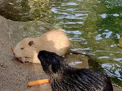 -北京野生动物园