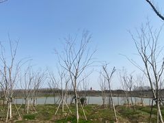 -上海海湾国家森林公园