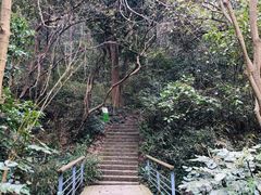 -西湖风景区-江洋畈生态公园