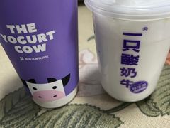 -一只酸奶牛(奎星楼店)