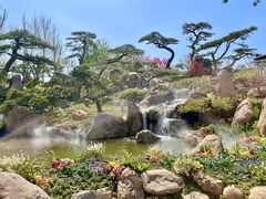 -罗红摄影艺术馆