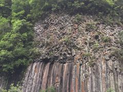 -望天鹅景区
