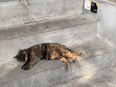 -奎星楼街