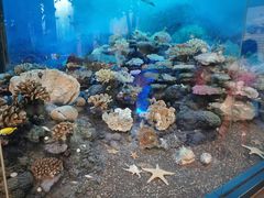 -浙江自然博物院(杭州馆)