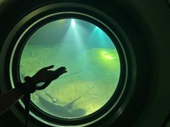 -白鹤梁水下博物馆